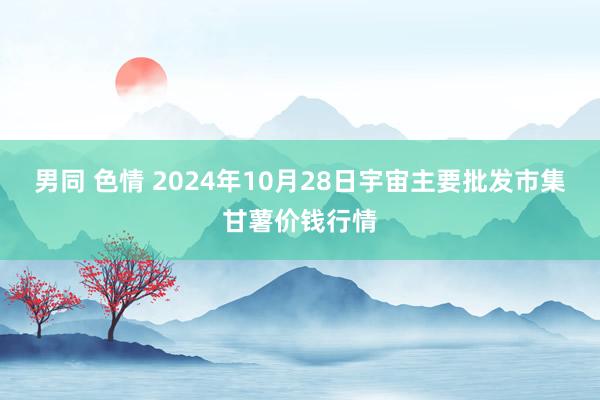 男同 色情 2024年10月28日宇宙主要批发市集甘薯价钱行情