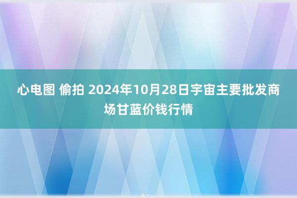 心电图 偷拍 2024年10月28日宇宙主要批发商场甘蓝价钱行情