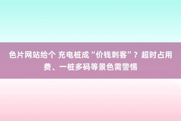 色片网站给个 充电桩成“价钱刺客”？超时占用费、一桩多码等景色需警惕