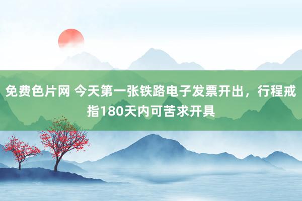 免费色片网 今天第一张铁路电子发票开出，行程戒指180天内可苦求开具