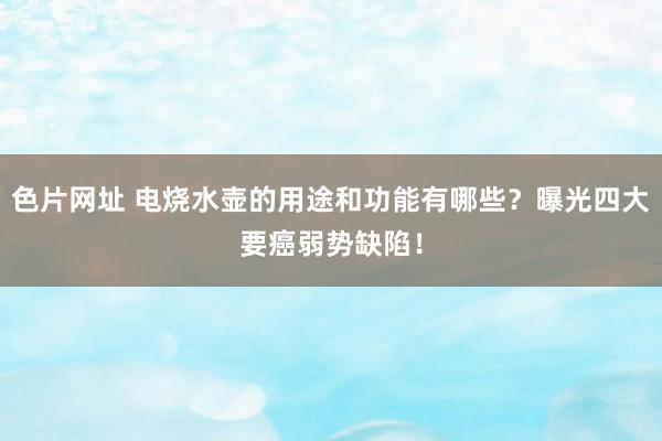 色片网址 电烧水壶的用途和功能有哪些？曝光四大要癌弱势缺陷！