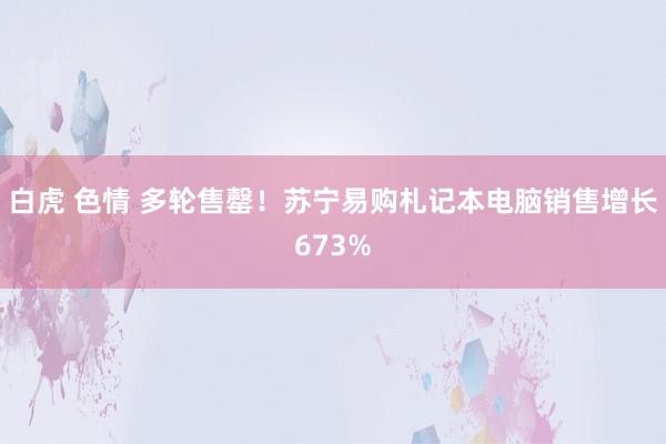 白虎 色情 多轮售罄！苏宁易购札记本电脑销售增长673%