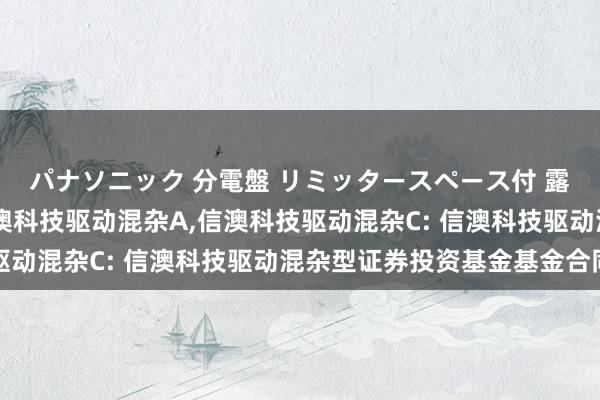 パナソニック 分電盤 リミッタースペース付 露出・半埋込両用形 信澳科技驱动混杂A，信澳科技驱动混杂C: 信澳科技驱动混杂型证券投资基金基金合同