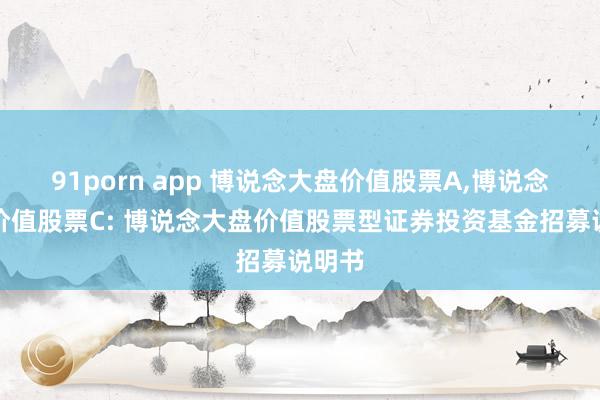 91porn app 博说念大盘价值股票A，博说念大盘价值股票C: 博说念大盘价值股票型证券投资基金招募说明书