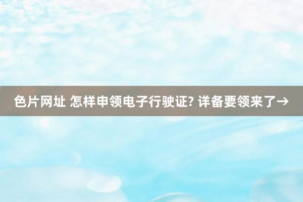 色片网址 怎样申领电子行驶证? 详备要领来了→