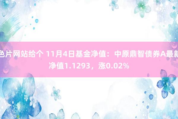 色片网站给个 11月4日基金净值：中原鼎智债券A最新净值1.1293，涨0.02%