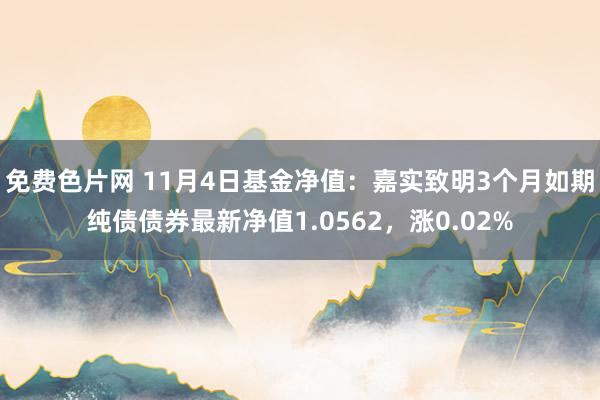 免费色片网 11月4日基金净值：嘉实致明3个月如期纯债债券最新净值1.0562，涨0.02%