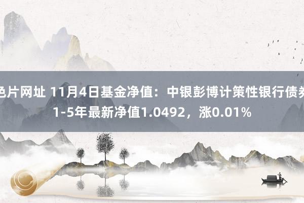 色片网址 11月4日基金净值：中银彭博计策性银行债券1-5年最新净值1.0492，涨0.01%