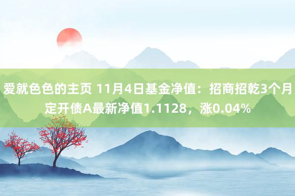 爱就色色的主页 11月4日基金净值：招商招乾3个月定开债A最新净值1.1128，涨0.04%