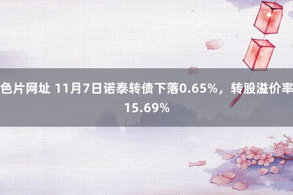 色片网址 11月7日诺泰转债下落0.65%，转股溢价率15.69%