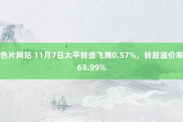 色片网站 11月7日太平转债飞腾0.57%，转股溢价率63.99%