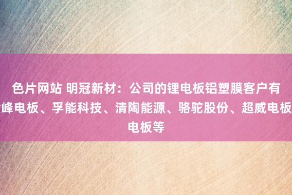 色片网站 明冠新材：公司的锂电板铝塑膜客户有赣峰电板、孚能科技、清陶能源、骆驼股份、超威电板等