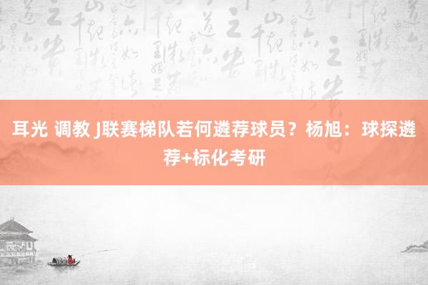 耳光 调教 J联赛梯队若何遴荐球员？杨旭：球探遴荐+标化考研