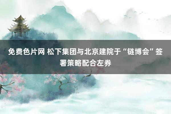 免费色片网 松下集团与北京建院于“链博会”签署策略配合左券