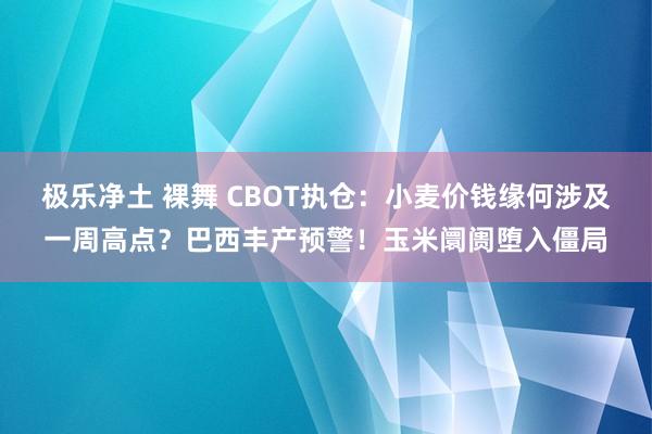 极乐净土 裸舞 CBOT执仓：小麦价钱缘何涉及一周高点？巴西丰产预警！玉米阛阓堕入僵局