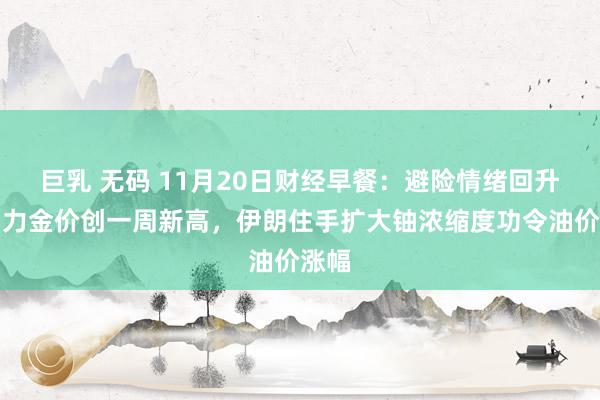 巨乳 无码 11月20日财经早餐：避险情绪回升，助力金价创一周新高，伊朗住手扩大铀浓缩度功令油价涨幅