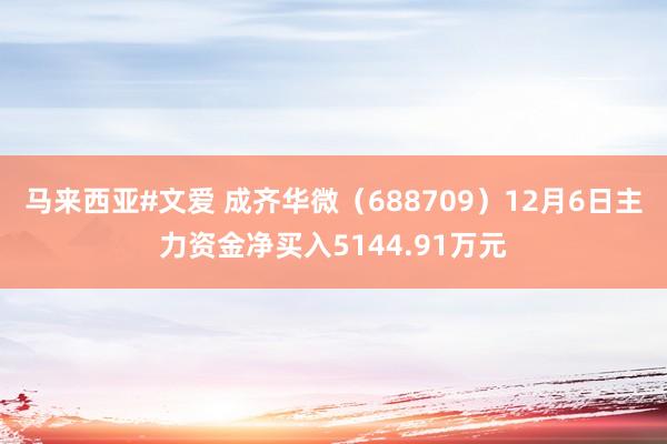 马来西亚#文爱 成齐华微（688709）12月6日主力资金净买入5144.91万元