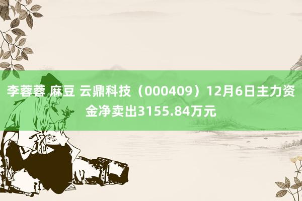 李蓉蓉 麻豆 云鼎科技（000409）12月6日主力资金净卖出3155.84万元