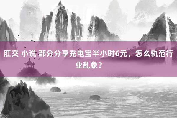 肛交 小说 部分分享充电宝半小时6元，怎么轨范行业乱象？