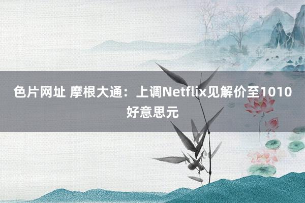 色片网址 摩根大通：上调Netflix见解价至1010好意思元