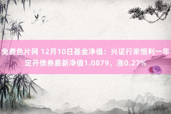 免费色片网 12月10日基金净值：兴证行家恒利一年定开债券最新净值1.0879，涨0.27%