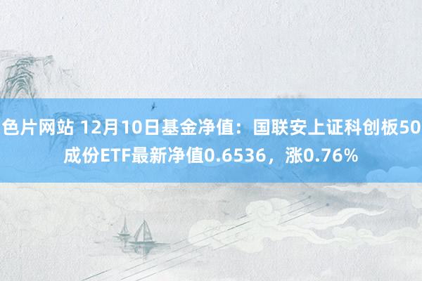 色片网站 12月10日基金净值：国联安上证科创板50成份ETF最新净值0.6536，涨0.76%