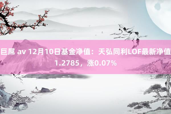 巨屌 av 12月10日基金净值：天弘同利LOF最新净值1.2785，涨0.07%