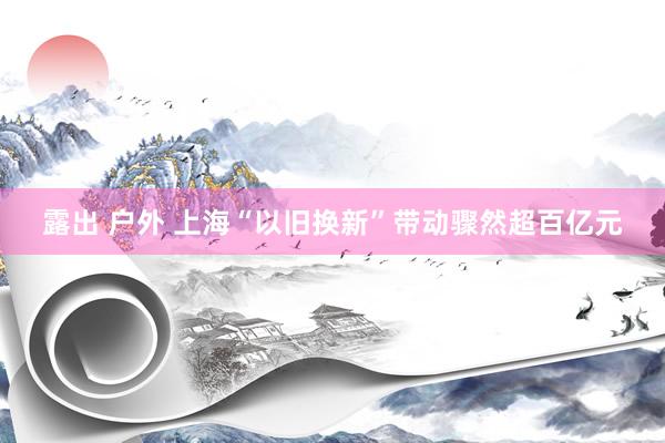 露出 户外 上海“以旧换新”带动骤然超百亿元