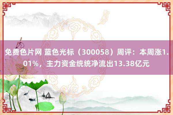 免费色片网 蓝色光标（300058）周评：本周涨1.01%，主力资金统统净流出13.38亿元