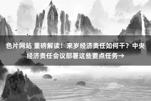 色片网站 重磅解读！来岁经济责任如何干？中央经济责任会议部署这些要点任务→