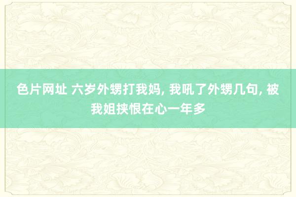 色片网址 六岁外甥打我妈， 我吼了外甥几句， 被我姐挟恨在心一年多