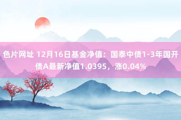 色片网址 12月16日基金净值：国泰中债1-3年国开债A最新净值1.0395，涨0.04%