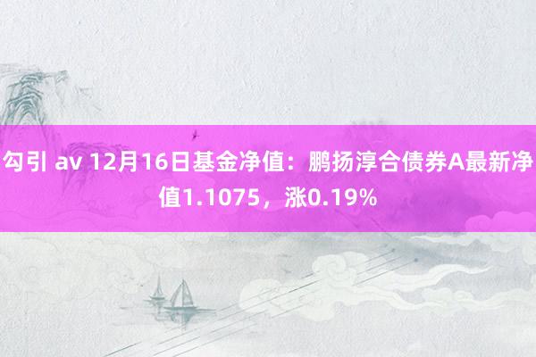 勾引 av 12月16日基金净值：鹏扬淳合债券A最新净值1.1075，涨0.19%