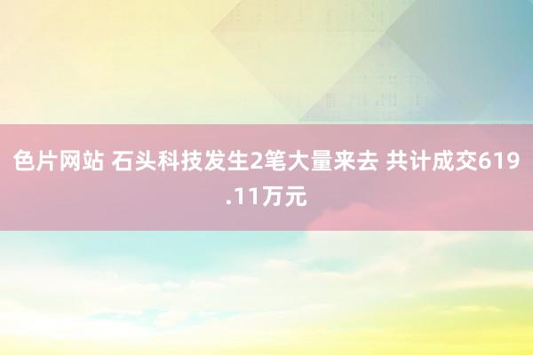 色片网站 石头科技发生2笔大量来去 共计成交619.11万元