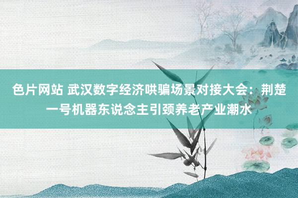 色片网站 武汉数字经济哄骗场景对接大会：荆楚一号机器东说念主引颈养老产业潮水