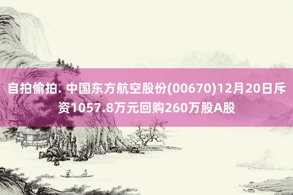 自拍偷拍. 中国东方航空股份(00670)12月20日斥资1057.8万元回购260万股A股