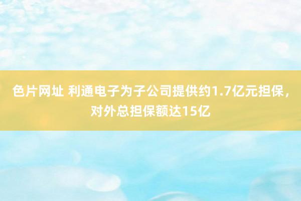 色片网址 利通电子为子公司提供约1.7亿元担保，对外总担保额达15亿