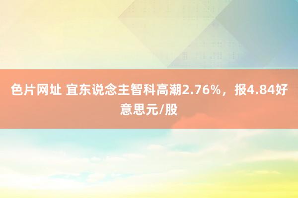 色片网址 宜东说念主智科高潮2.76%，报4.84好意思元/股