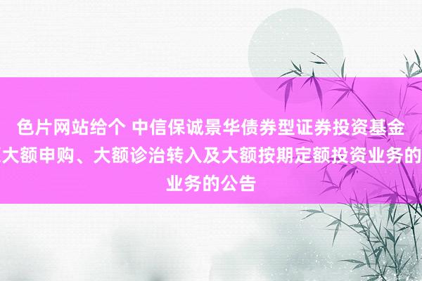 色片网站给个 中信保诚景华债券型证券投资基金还原大额申购、大额诊治转入及大额按期定额投资业务的公告