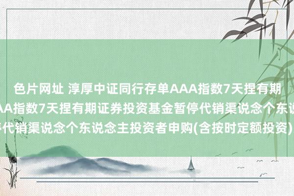 色片网址 淳厚中证同行存单AAA指数7天捏有期: 淳厚中证同行存单AAA指数7天捏有期证券投资基金暂停代销渠说念个东说念主投资者申购(含按时定额投资)业务的公告