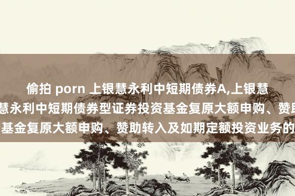 偷拍 porn 上银慧永利中短期债券A，上银慧永利中短期债券C: 上银慧永利中短期债券型证券投资基金复原大额申购、赞助转入及如期定额投资业务的公告