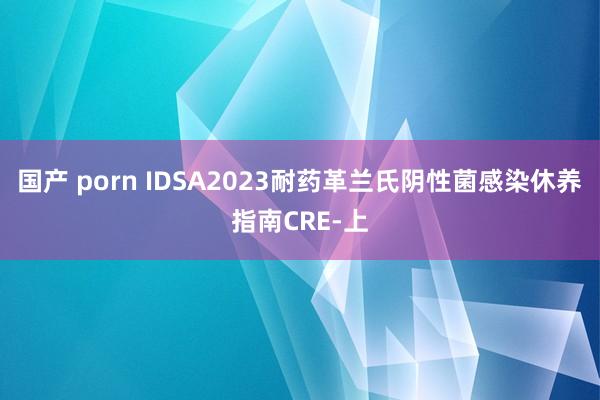 国产 porn IDSA2023耐药革兰氏阴性菌感染休养指南CRE-上