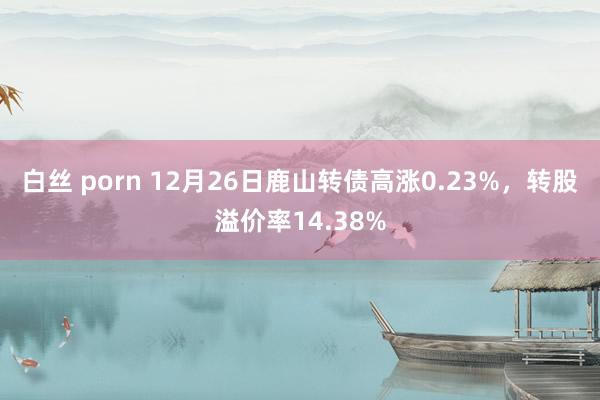 白丝 porn 12月26日鹿山转债高涨0.23%，转股溢价率14.38%