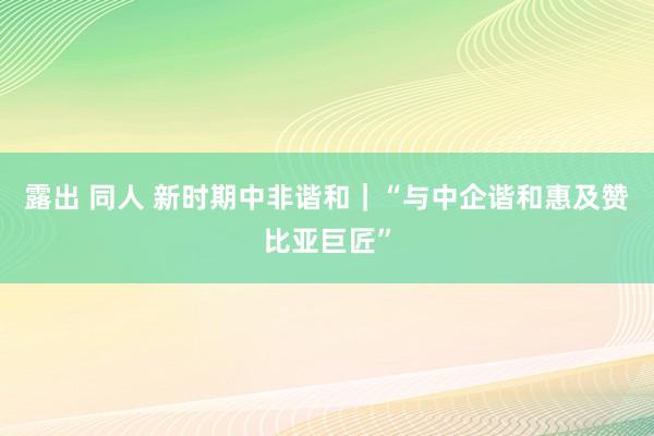 露出 同人 新时期中非谐和｜“与中企谐和惠及赞比亚巨匠”