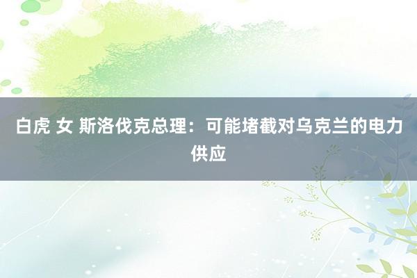 白虎 女 斯洛伐克总理：可能堵截对乌克兰的电力供应