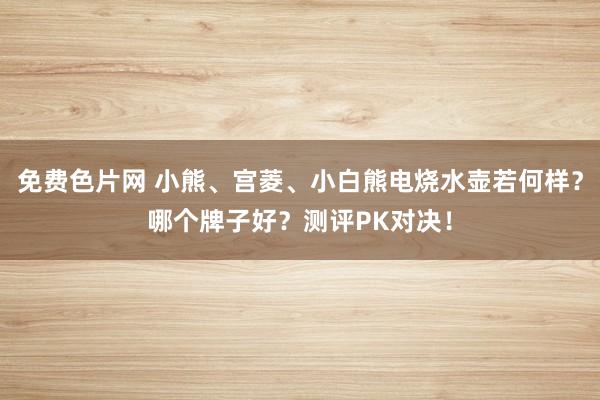 免费色片网 小熊、宫菱、小白熊电烧水壶若何样？哪个牌子好？测评PK对决！