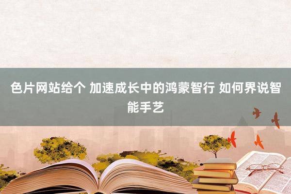 色片网站给个 加速成长中的鸿蒙智行 如何界说智能手艺