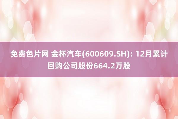 免费色片网 金杯汽车(600609.SH): 12月累计回购公司股份664.2万股