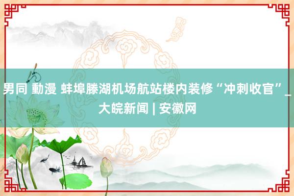 男同 動漫 蚌埠滕湖机场航站楼内装修“冲刺收官”_大皖新闻 | 安徽网