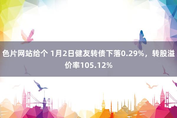 色片网站给个 1月2日健友转债下落0.29%，转股溢价率105.12%